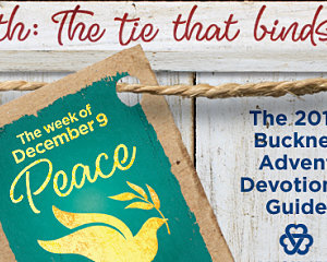 peace email header updated